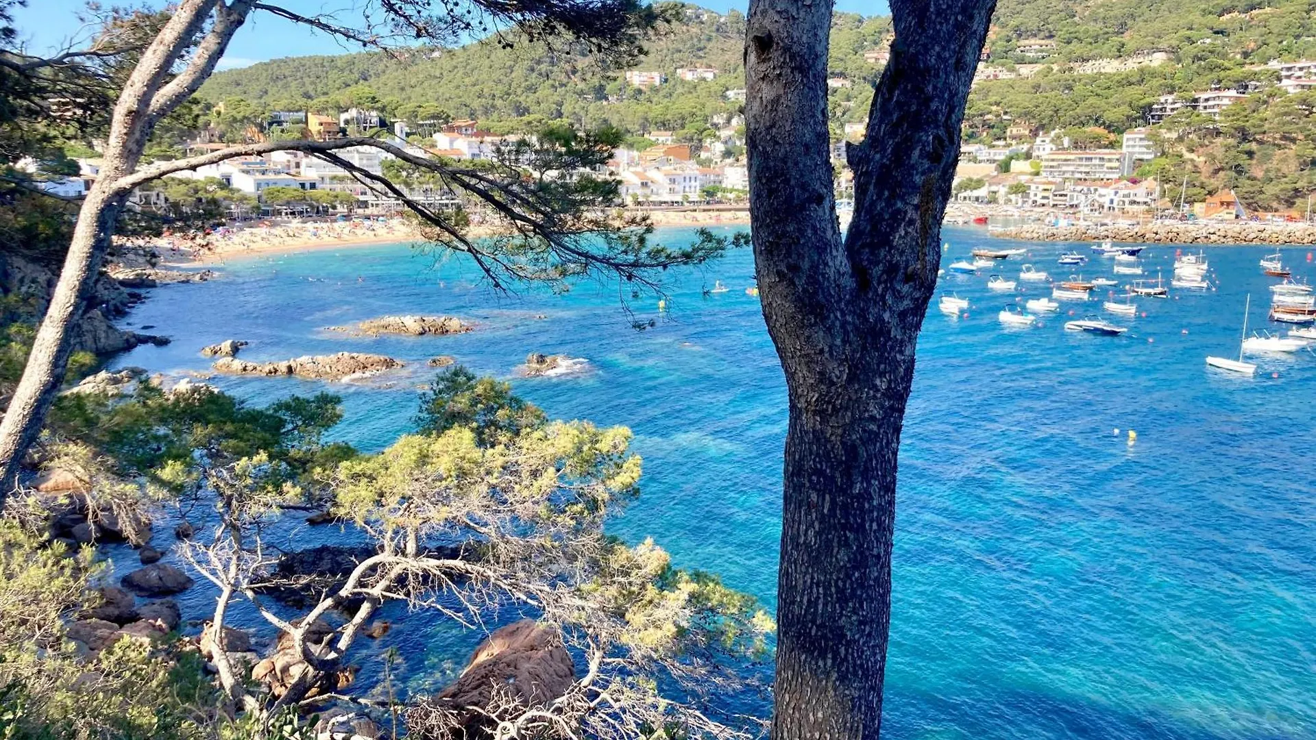 1 Monts - Llafranc Appartement 0*,  Spanje